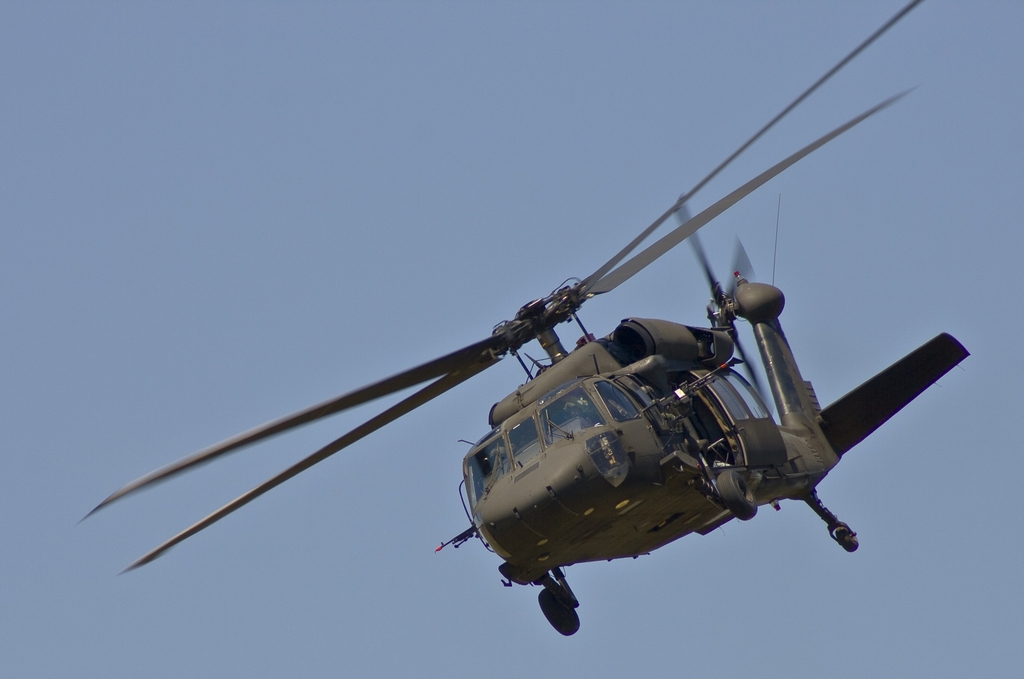 IMAGE: http://yellerdawg.com/mypictures/041408/IMG_4472.jpg