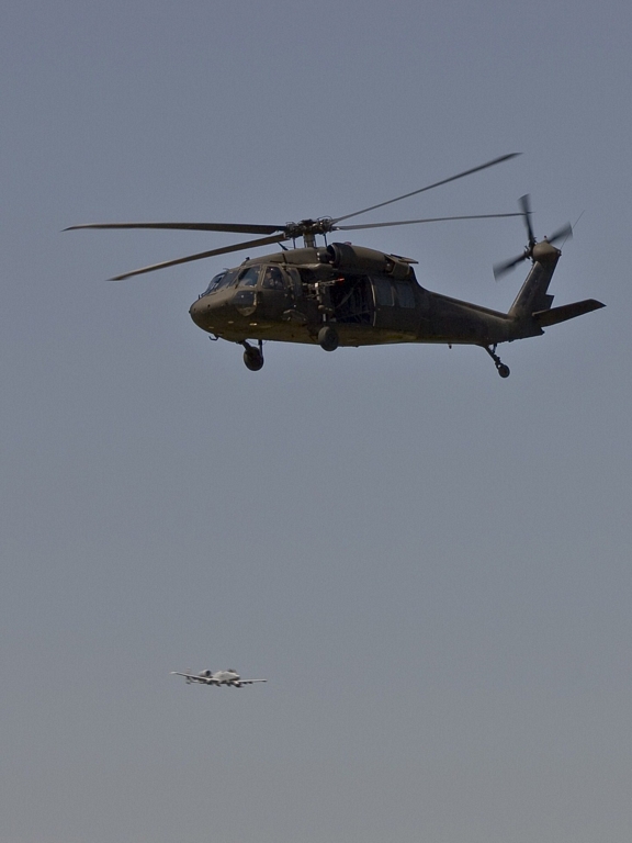 IMAGE: http://yellerdawg.com/mypictures/041408/IMG_4506.jpg