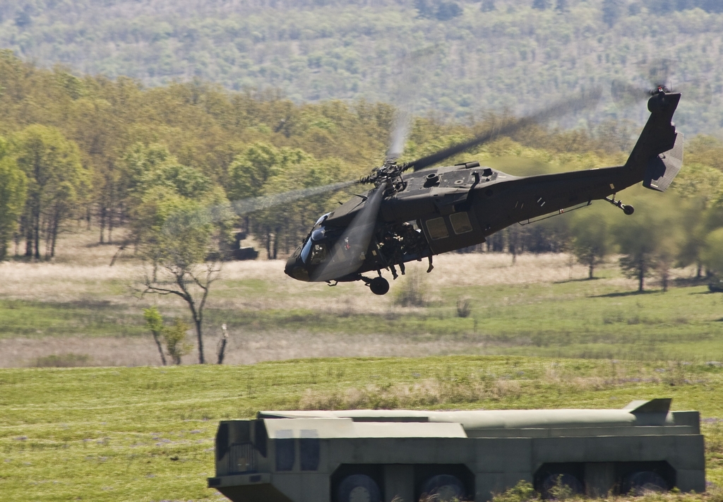 IMAGE: http://yellerdawg.com/mypictures/041408/IMG_4546.jpg