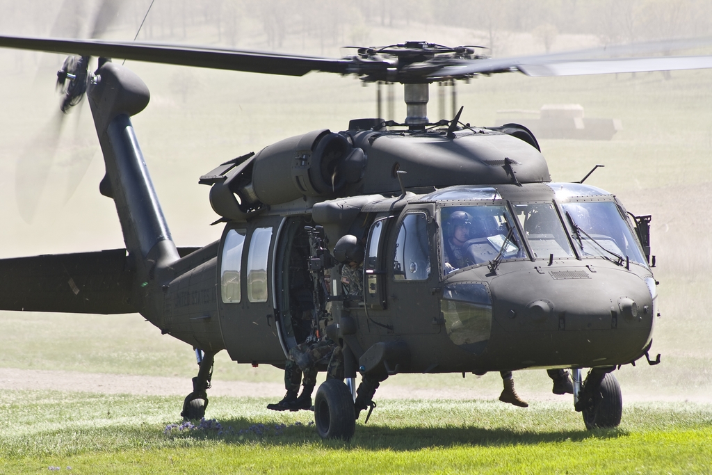 IMAGE: http://yellerdawg.com/mypictures/041408/IMG_4629.jpg