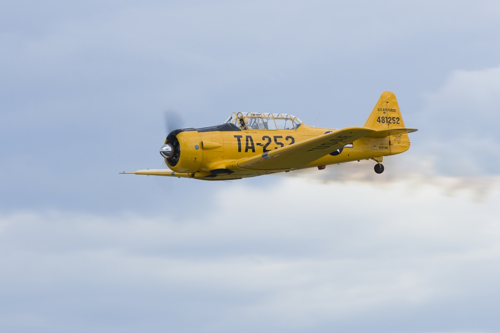 IMAGE: http://yellerdawg.com/mypictures/042410/1024x768/IMG_8970.jpg